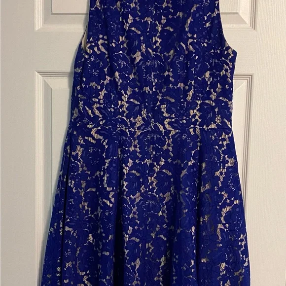 Eliza J Cobalt Blue Lace Dress - Picture 4 of 4